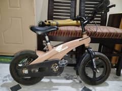 Heavy duty kids bicycle