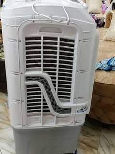 fisher air cooler