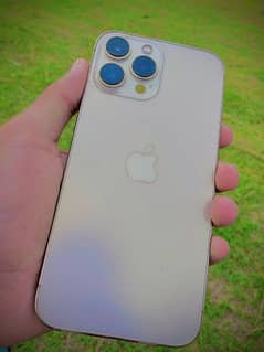 iPhone 13 pro max