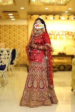 indian sharara for bride