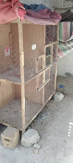 best cage