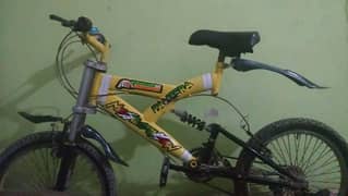 Bicycle New Condition 0