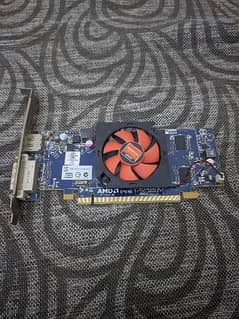 AMD HD-6450 1GB 64bit Graphic Card