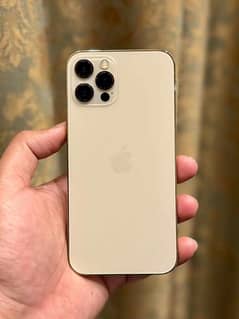 i phone 12 pro max pta approved