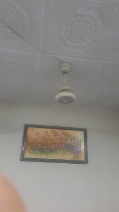 10 Ceiling Fans for Sale 0