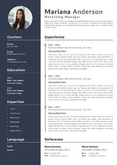 Professional cv maker