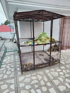 Birds / Animals cage 6*6 feet