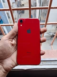 Iphone Xr Pta Approved