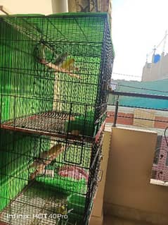 bird & 4 portion cage available