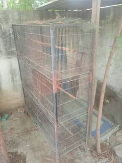 6 portion cage condition 9/10 0