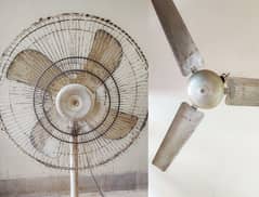 TWO FANS URGENT SELL 11000