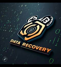 Data Recovery. . .