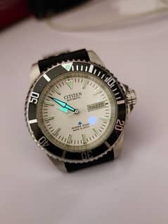 Citizen Promaster Diver Automatic Watch