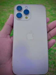 iPhone 13 Pro Max 0