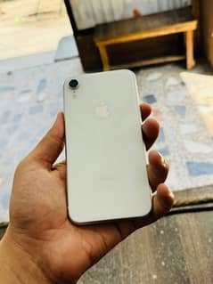 iphone xr waterpack 0