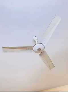 8 FANS 0