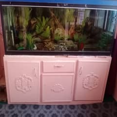 AQUARIUM FOR SALE 10 BY 10 CONDASHION PRICE 60K