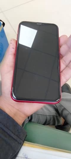 Iphone XR 64 gb (non pta)