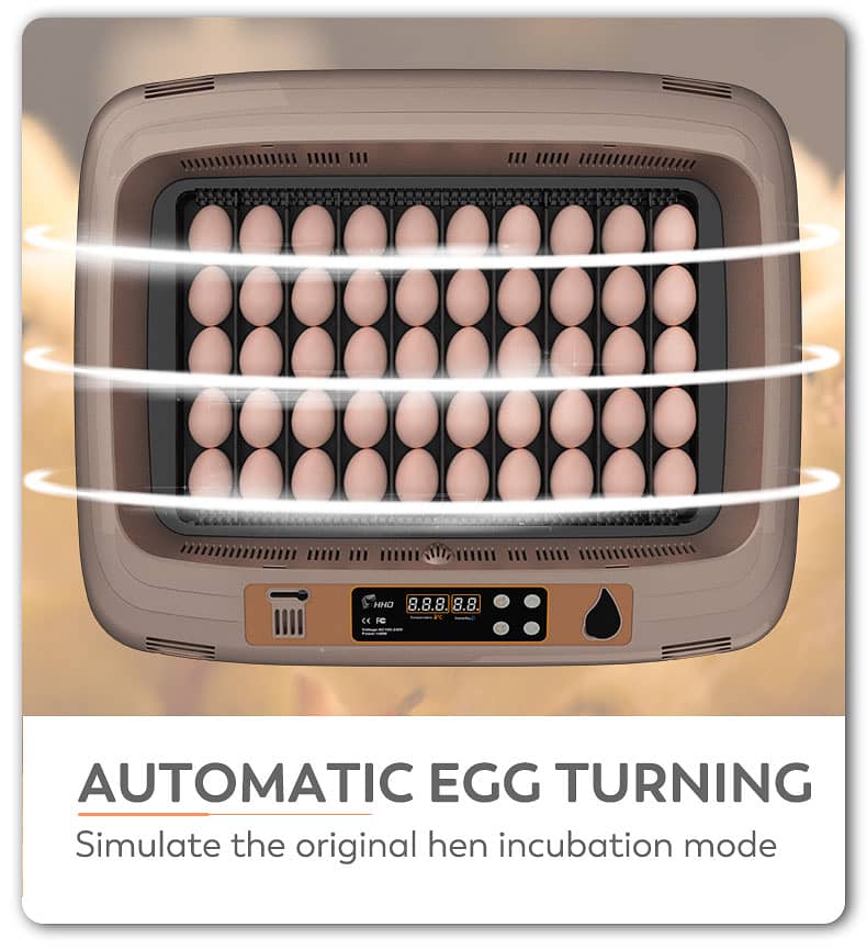 HHD Incubator Queen 50 Eggs Automatic Humidity Control for Parrots Chi 6
