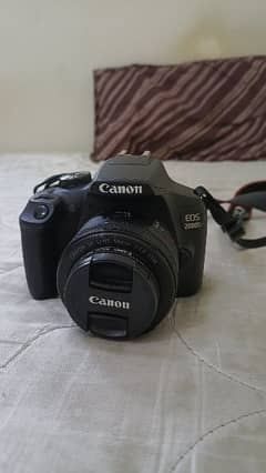 Canon Eos 200D with Kit Len 18-55MM And 50MM Lens With 32Gb SD card
