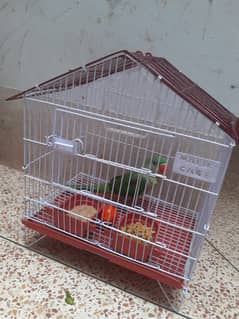 Row parrot   with cage 0