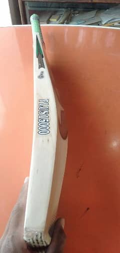 cricket bat CA 15000+ price =45000