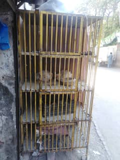 Animal cage full size