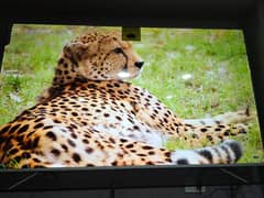 85. INCH Q LED ANDROID. SAMSUNG. 03221257237