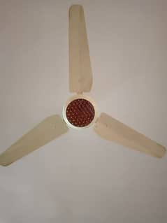 3 ceiling fans ,used for only 1 month contact:03062496900 0