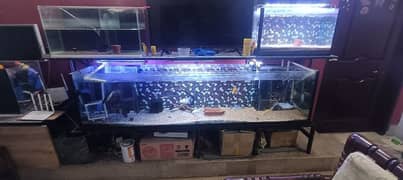 Aquariums for Sale with Sump, filters, fishes and all accessories 0