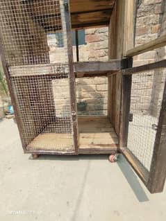 Bird And chick's portable Cage
