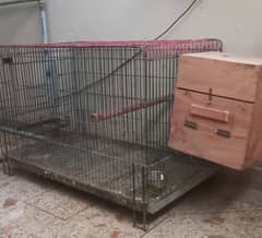 Gray Parrot cage with breeder box 0