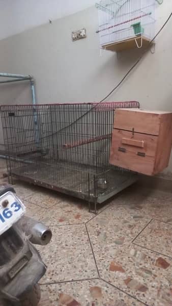 Gray Parrot cage with breeder box 1