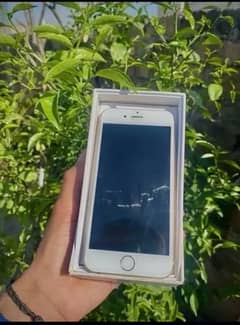iphone 6s pta approved 64gb with box only 0