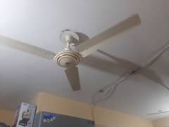 56 inch ceiling fan 10/10 conditions