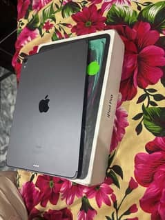 iPad Pro M1 WiFi +sim