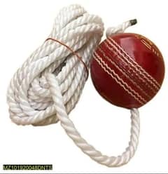 Practice Hanging Ball for Cricket Lover