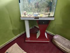 Aquarium with fishes in 10000 0