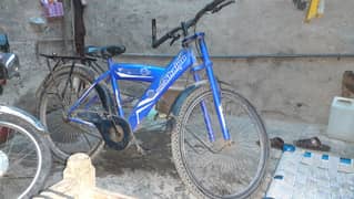 China bicycle for sale