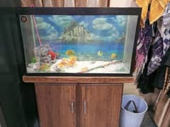 fish aquarium / fish aquarim for sale