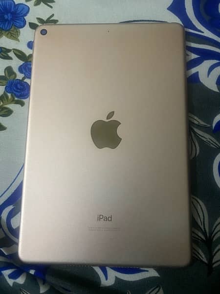 iPad Mini 5 3