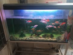 Imported 1 piece Aquarium full Setup with fishes and everything