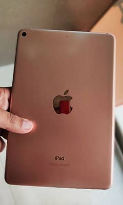 Apple iPad mini5 64 Gb 0