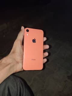 i phone XR