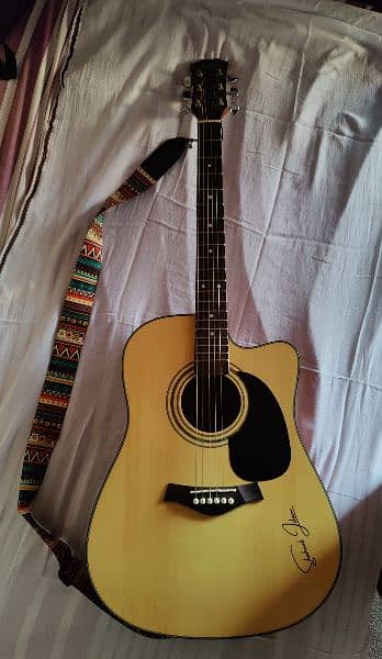 Taylor Acoustic Guitar 1