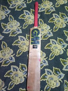 English willow premium bat