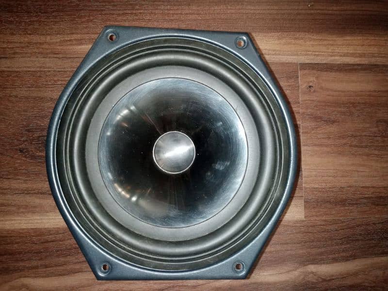 Tannoy speaker 1