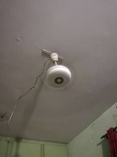 ceiling fans