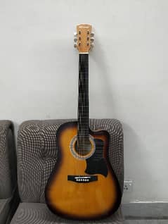 Caraya Acoustic Guitar with Cover Bag 0
