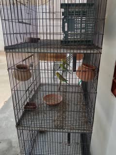 Birds cage 7c